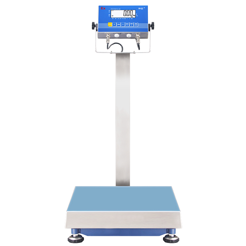 帥華本安型防爆電子臺(tái)秤